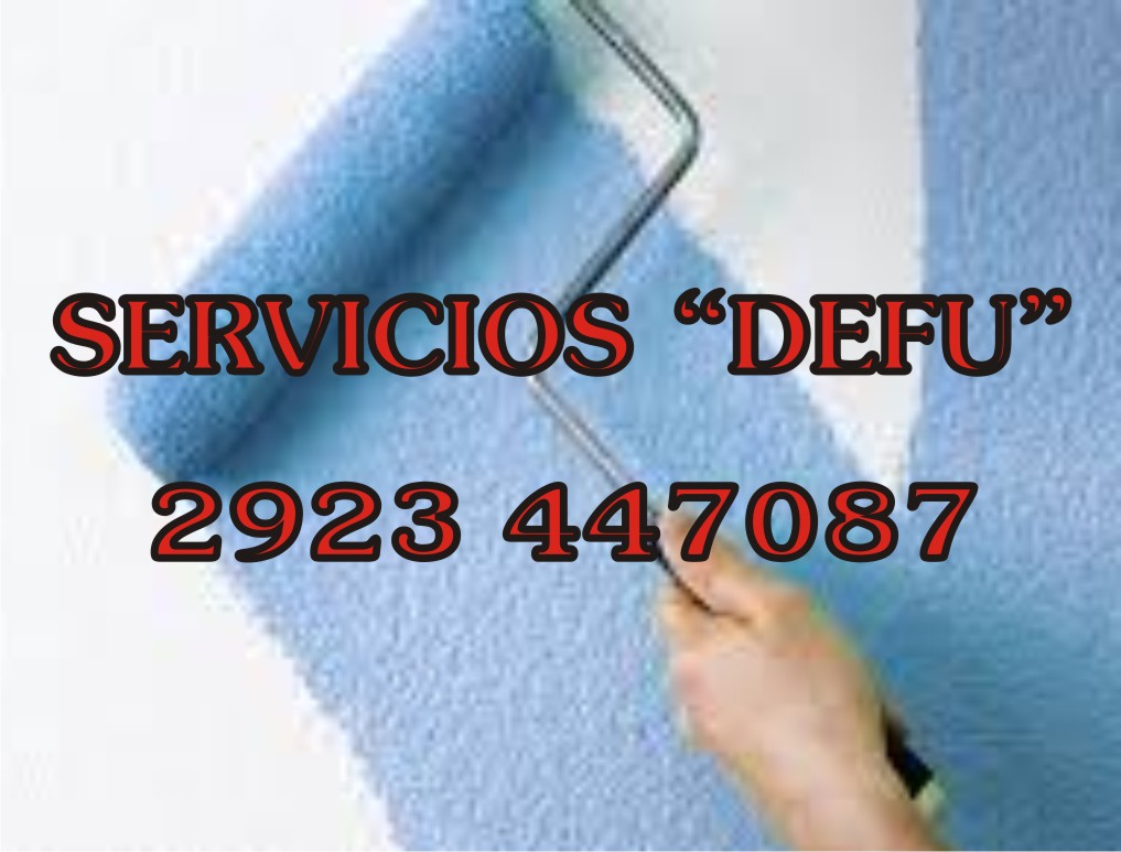 SERVICIOS DEFU